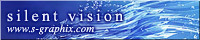 silent vision
